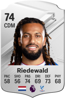 statistik riedewald