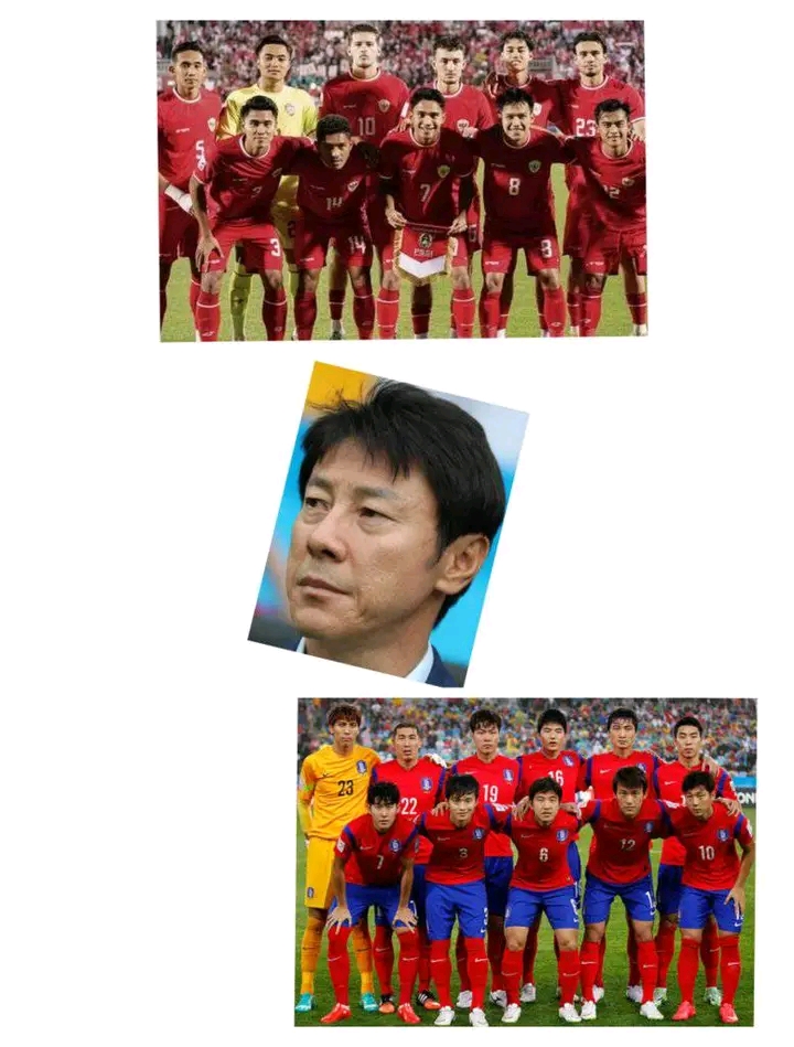 Setelah Kalahkan Korea Selatan, Shin Tae-yong Diamuk Warga Korsel Sebut Penghianat 1714111037690