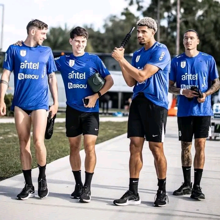 prediksi uruguay vs bolivia