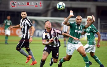 Prediksi Skor Botafogo RJ vs Palmeiras: CONMEBOL Copa Libertadores 2024