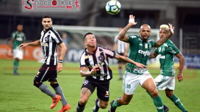 Prediksi Botafogo RJ vs Palmeiras 15 Agustus 2024