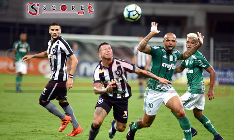 Prediksi Botafogo RJ vs Palmeiras 15 Agustus 2024