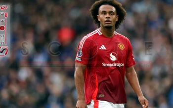 Cole Tepis Berita Joshua Zirkzee Produk Gagal Proses Transfer 2024/2025