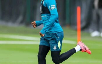 Prediksi Bournemouth vs Southampton: Pekan ke-6 Liga Inggris Musim 2024/2025