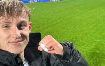 Prediksi Bola Hoffenheim vs Werder Bremen, Head to Head dan Peluang