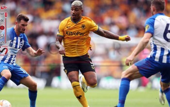Prediksi Skor Brighton vs Wolverhampton: EFL 2024, Menang Di Kandang