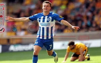 Prediksi Skor Brighton vs Wolves: EFL Cup / Carabao Cup Putaran 3