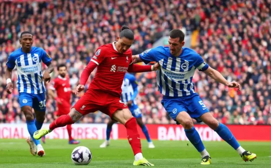 Prediksi Liverpool vs Brighton 2 November 2024 Liverpool vs Brighton 1
