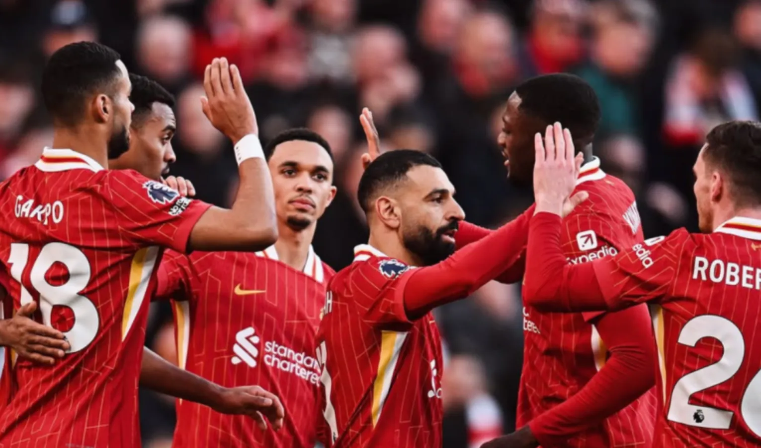 Prediksi Bournemouth vs Liverpool 1 Februari 2025 Bournemouth vs Liverpool