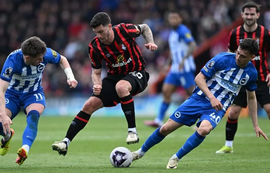 Prediksi Bola Brighton Vs Bournemouth 26 Febuari 2025 Brighton Vs Bournemouth