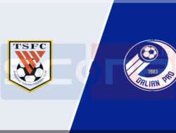 Prediksi Skor Shandong Taishan vs Dalian Yingbo FC 28 Februari 2025