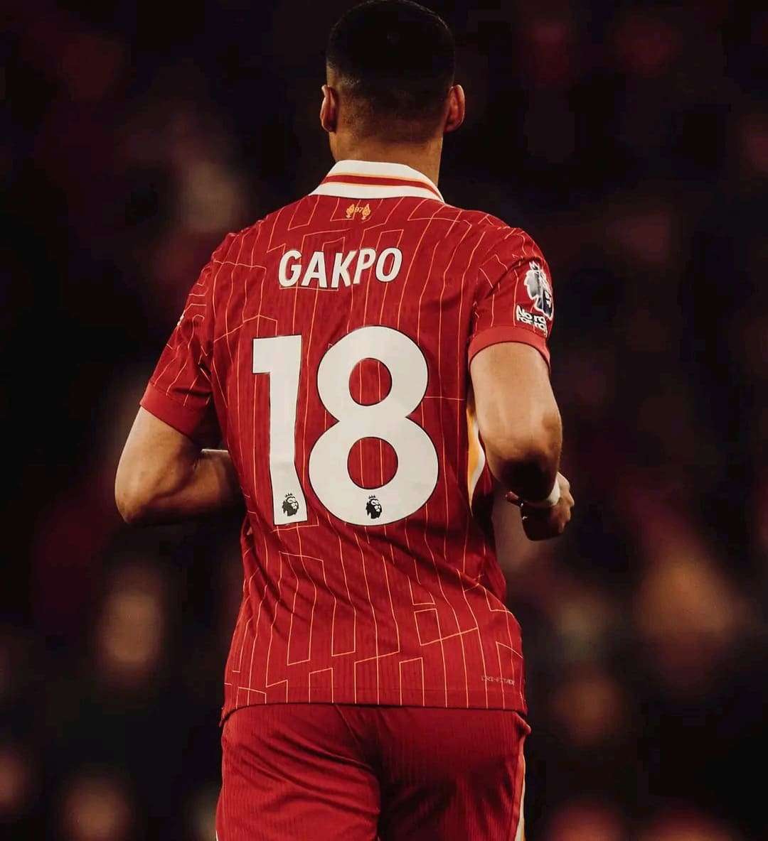 Cody Gakpo Absen Lawan PSG