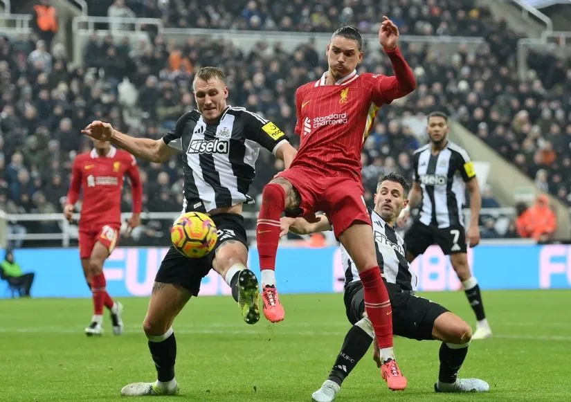 Prediksi Liverpool vs Newcastle 16 Maret 2025 Liverpool vs Newcastle