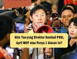 Shin Tae-yong Direktur Kembali PSSI, April MOP atau Punya 3 Alasan Ini?