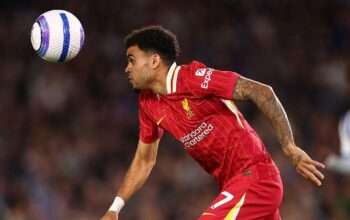 Update Terkini Proses Transfer Luiz Diaz, Tembus 70 Juta Euro?