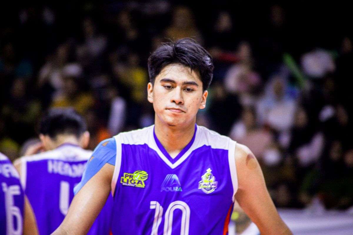 Pemain voli putra Indonesia terbaik