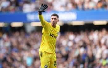 5 Kiper Terbaik Liga Prancis, Siapa Peringkat Pertama?