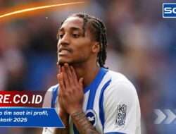 João pedro tim saat ini profil, statistik & karir 2025