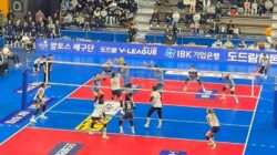 Gerflor Jadi Sponsor Volleyball World untuk 2 Tahun Mendatang Gerflor Jadi Sponsor Volleyball World