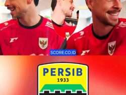 Profil Thom Haye, dan Gaji Fantastisnya di Persib Bandung