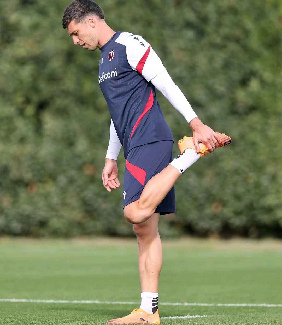 Prediksi Skor Bologna vs Torino Pekan 9 Serie A, 29 Oktober 2025