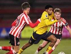 Prediksi Skor Sunderland vs Wolves 18 Oktober 2025: Liga Inggris Putaran Ke 8