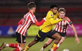 Prediksi Skor Sunderland vs Wolves 18 Oktober 2025: Liga Inggris Putaran Ke 8