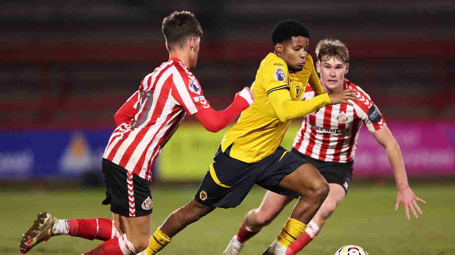 Prediksi Skor Sunderland vs Wolves