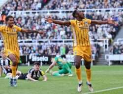 Prediksi Skor Brighton vs Newcastle 18 Oktober 2025: Liga Inggris Putaran Ke 8