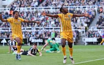 Prediksi Skor Brighton vs Newcastle 18 Oktober 2025: Liga Inggris Putaran Ke 8