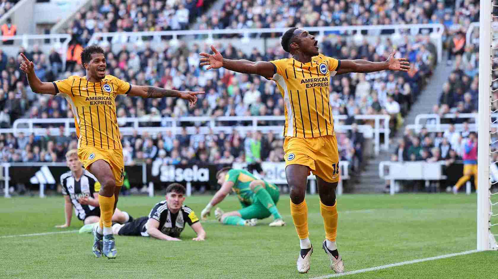 Prediksi Skor Brighton vs Newcastle