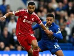 Prediksi Skor Brighton vs Brentford 22 November 2025: Liga Inggris Pekan ke 12