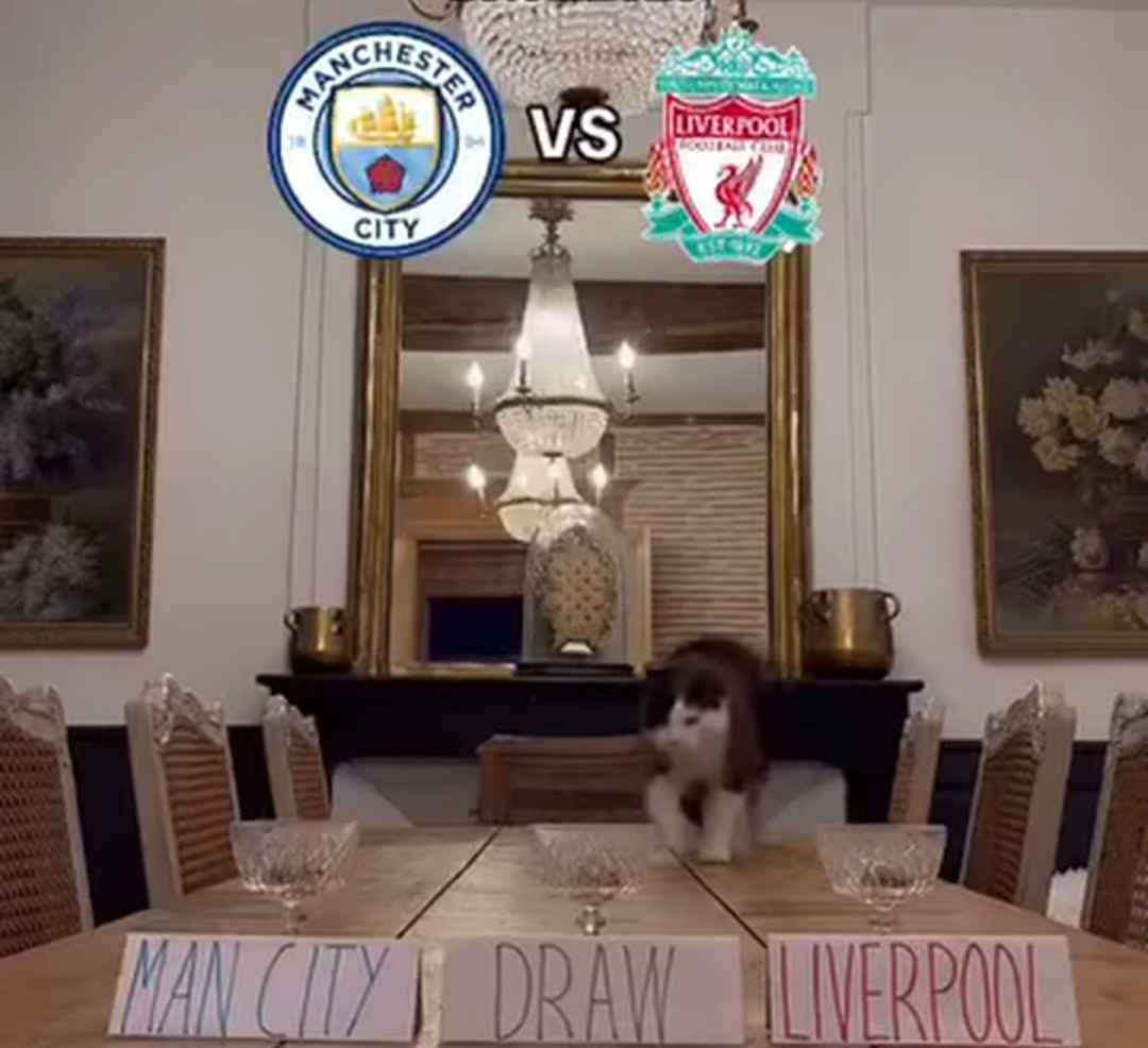 Prediksi Skor Manchester City vs Liverpool Jadi Big Match Pekan ke-11