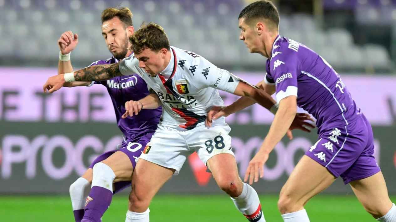 Prediksi Skor Genoa vs Fiorentina