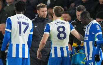 Prediksi Skor Brighton vs Sunderland 20 Desember 2025: Adu Taktik si Kuda Hitam