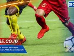 Perbandingan Gaji Pemain Futsal vs Sepak Bola di Indonesia Update 2025